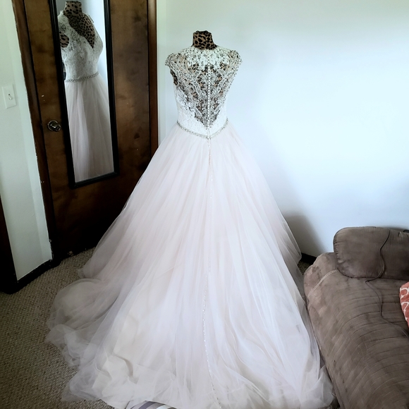 ALLURE Romantic Ivory Lace and Blush Tulle Wedding Gown - Picture 5 of 11